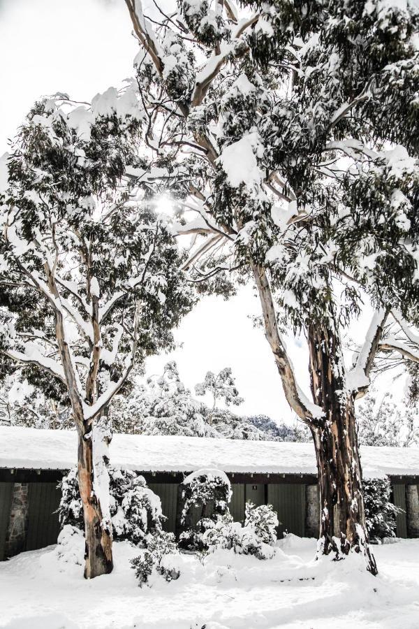 Ski Rider Hotel Perisher Valley Dış mekan fotoğraf